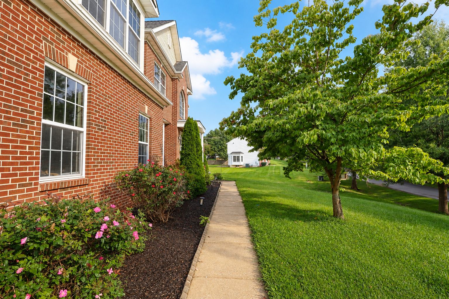 Listing Photos real estate portfolio image 17